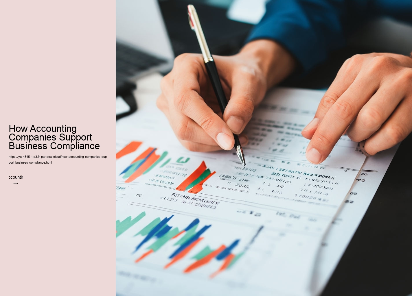 How Accounting Companies Support Business Compliance