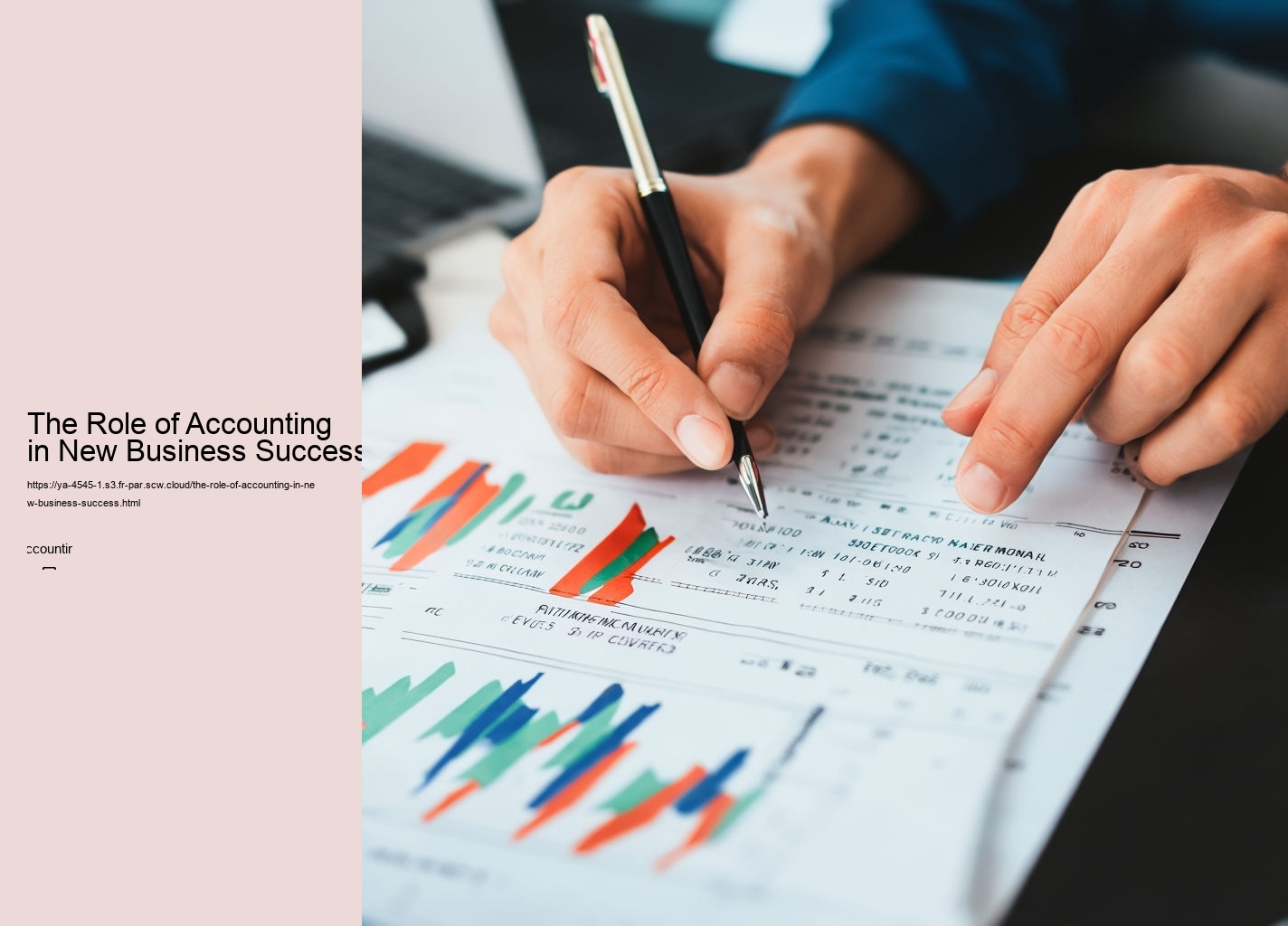 The Role of Accounting in New Business Success